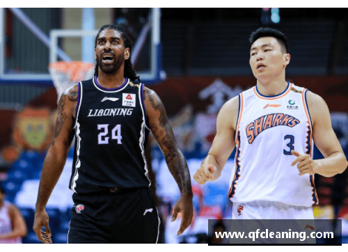 JN江南体育官方网站辽宁篮球明星梅奥：从NBA到CBA的传奇旅程与精彩表现 - 副本